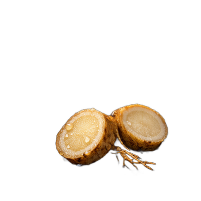 Korean Ginseng
